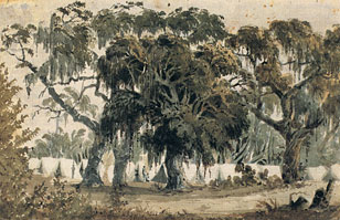 Encampment of the 1st infantry, painted by Seth Eastman
